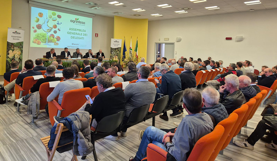 Agrintesa Assemblea