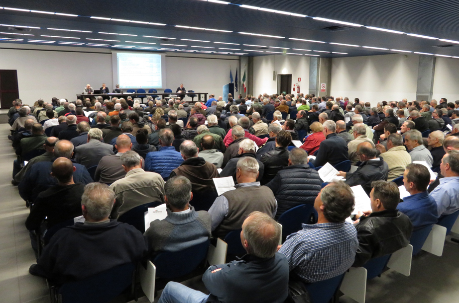 assemblea-agrintesa2016 %282%29