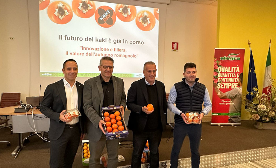 Bucchi, Castellari, Moretti e Cavassi