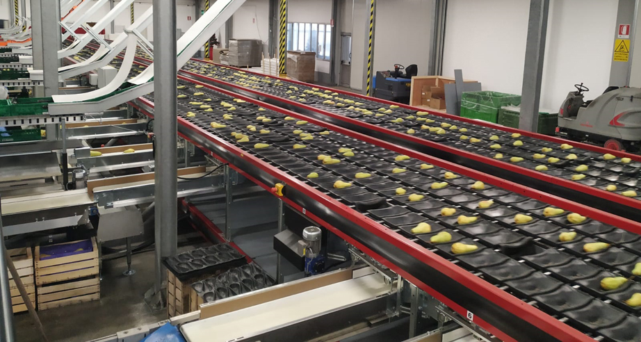 LavpereJPEGelle LavpereJPEGelle