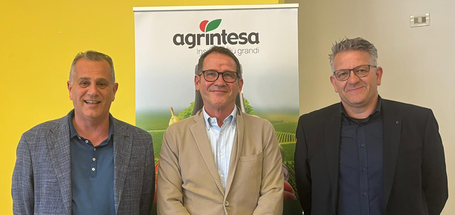 Moretti, Cristofori e Castellari Moretti, Cristofori e Castellari