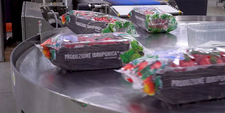 Naturitalia pomodori idroponica