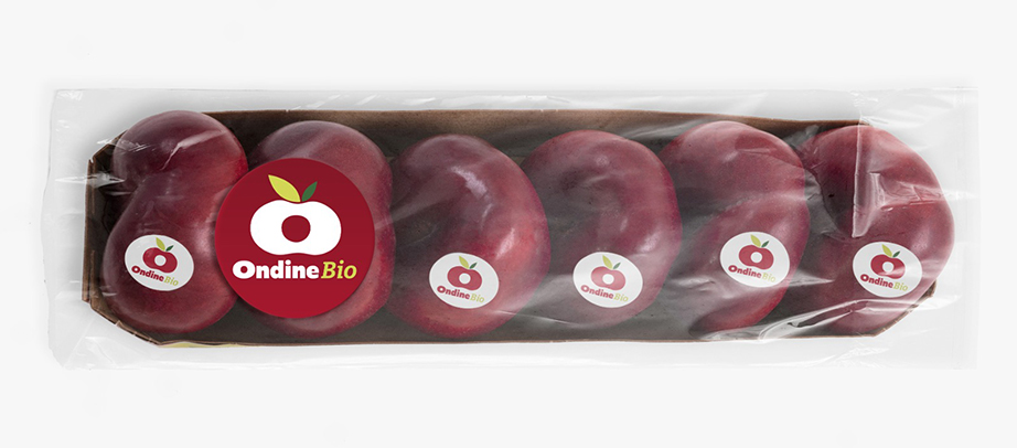 Ondine Pack