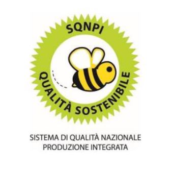 logo sqnpi logo sqnpi